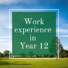 Work experience opportunities